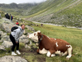 2024_Alpen-Sommer-Abenteuer-Highlights-129