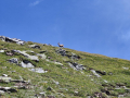 2024_Alpen-Sommer-Abenteuer-Highlights-208
