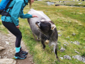2024_Alpen-Sommer-Abenteuer-Highlights-229