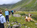 2024_Alpen-Sommer-Abenteuer-Highlights-231