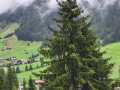 2024_Alpen-Sommer-Abenteuer-Highlights-244