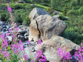 2024_Alpen-Sommer-Abenteuer-Highlights-252