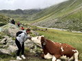 2024_Alpen-Sommer-Abenteuer-Highlights-336