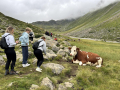 2024_Alpen-Sommer-Abenteuer-Highlights-37