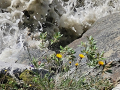 2024_Alpen-Sommer-Abenteuer-Highlights-387