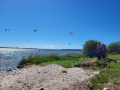 2024_02-Kitesurfcamp-3