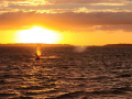 2024_05-Julisurfen-107