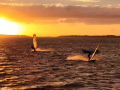 2024_05-Julisurfen-108