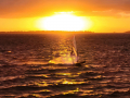 2024_05-Julisurfen-112