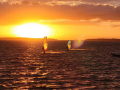2024_05-Julisurfen-113