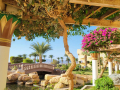 2025_Aegypten-Soma-Bay-1