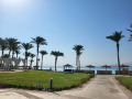 2025_Aegypten-Soma-Bay-103