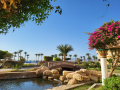 2025_Aegypten-Soma-Bay-30