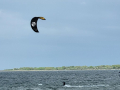 2025_02-Ansurfen-286