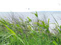 2025_03-Kitesurfcamp-172