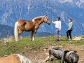 2025-Alpen-Sommer-2