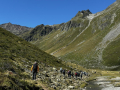 2025-Alpen-Sommer-226