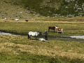 2025-Alpen-Sommer-227