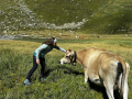 2025-Alpen-Sommer-228