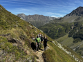 2025-Alpen-Sommer-250