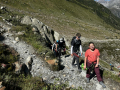 2025-Alpen-Sommer-266