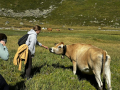 2025-Alpen-Sommer-45