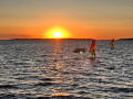 2026_07-Sporti-Urlaub-I-2