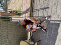 2026_07-Sporti-Urlaub-I-55