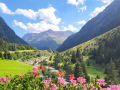 2026_09-Alpen-Sommer-1