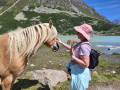 2026_09-Alpen-Sommer-11