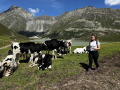 2026_09-Alpen-Sommer-115