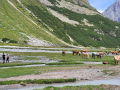 2026_09-Alpen-Sommer-166