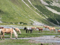 2026_09-Alpen-Sommer-167