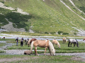 2026_09-Alpen-Sommer-168
