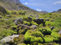 2026_09-Alpen-Sommer-24