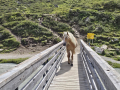 2026_09-Alpen-Sommer-32