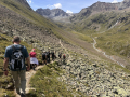 2026_09-Alpen-Sommer-88