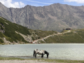 2026_09-Alpen-Sommer-89