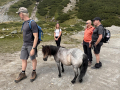 2026_09-Alpen-Sommer-92