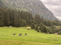 2026_09-Alpen-Sommer-95